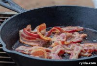 Bacon Avocado Cheese Omelet