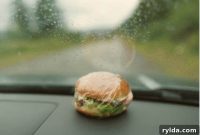 Before You Hit the Road