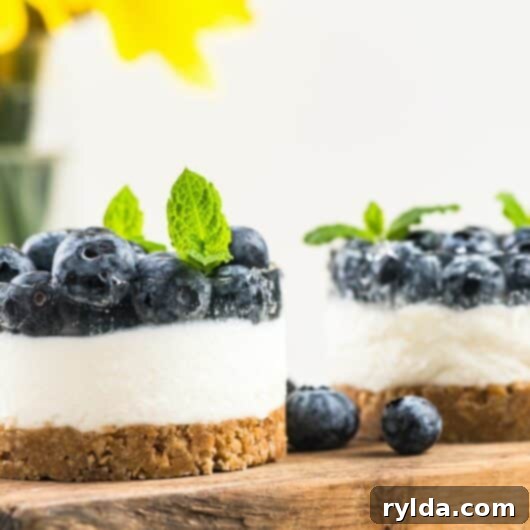 Blueberry Cheesecake Fat Bomb