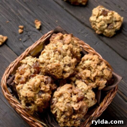 Brian's Buffalo Cookies: Chewy, Crunchy, and Delicious with Oats, Pecans, Corn Flakes, Coconut, and Chocolate Chips