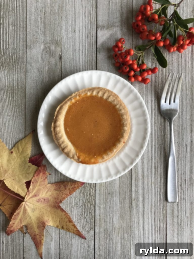 Fall flat lay, looking down on a miniature sweet potato pie with golden leaves and orange berries