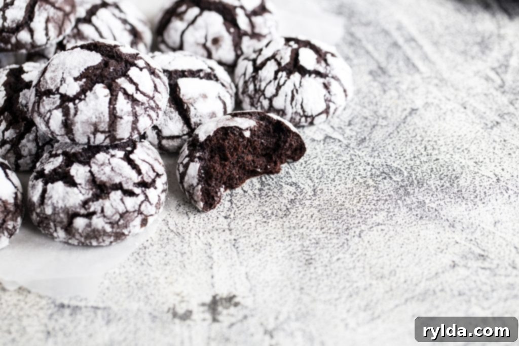 Decadent Chocolate Crinkle Cookies 4 Half-eaten Chocolate Crinkle Cookie showing its fudgy interior and crisp crackle.