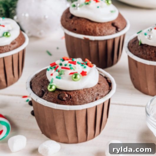 Mocha Chocolate Chip Cupcakes