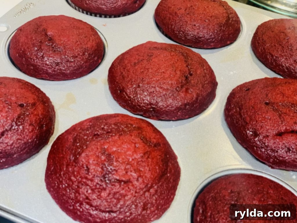 Red Velvet Cupcakes cooling on a wire rack after baking, showing their vibrant red hue.