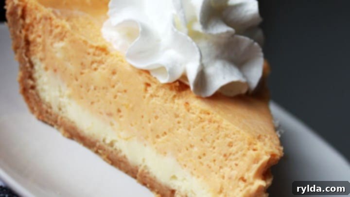 Double Layer Pumpkin Cheesecake