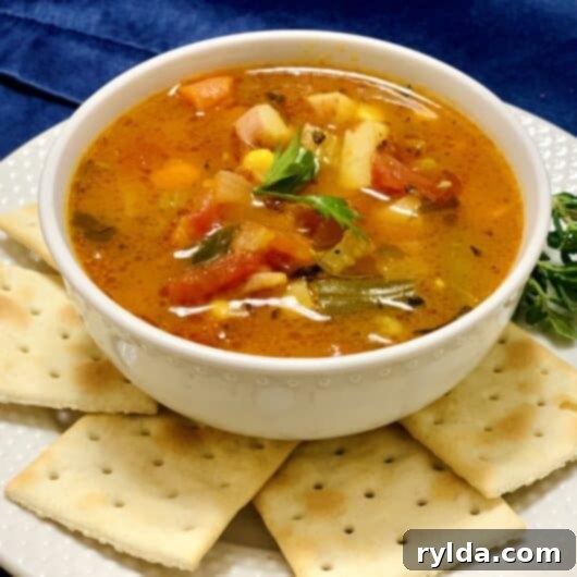 Hearty Vegetable Soup