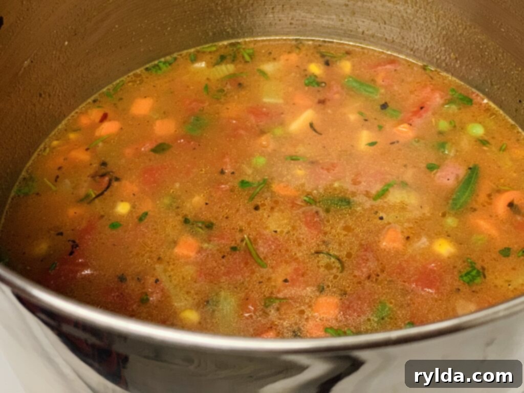 Delicious bowl of hearty vegetable soup with bread