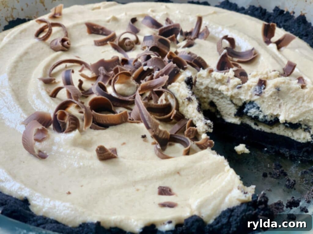An entire Chocolate Peanut Butter Pie, beautifully garnished
