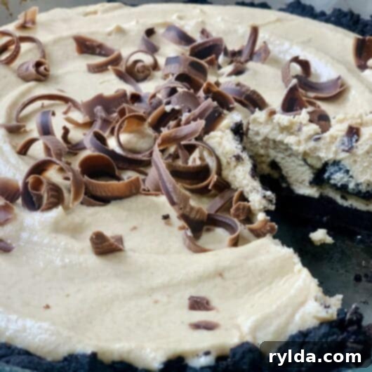 A slice of delicious Chocolate Peanut Butter Pie garnished with chocolate shavings