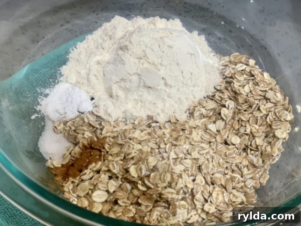 Dry ingredients for cookies, including flour, baking soda, salt, and cinnamon, mixed in a bowl.