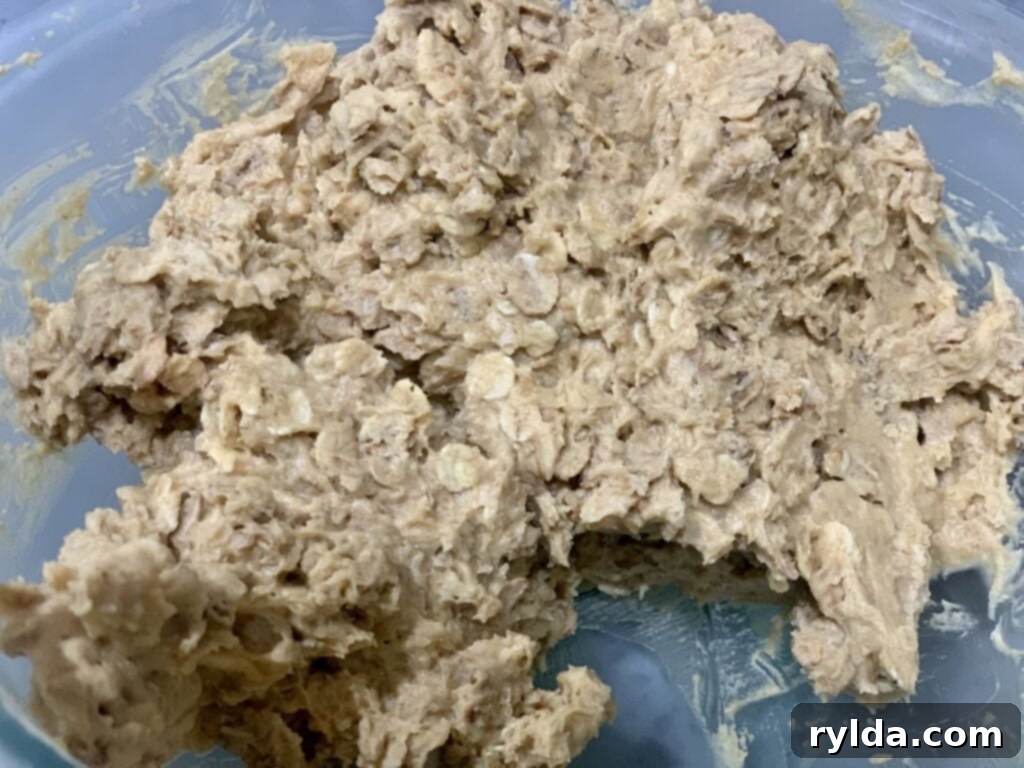 Finished peanut butter oatmeal cookie dough, ready for scooping and baking.