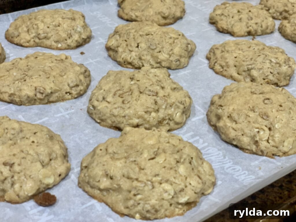 Two warm, golden-brown peanut butter oatmeal cookies, highlighting their texture.