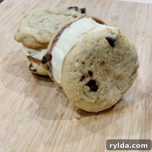 Delicious Cookie Ice Cream Sandwiches