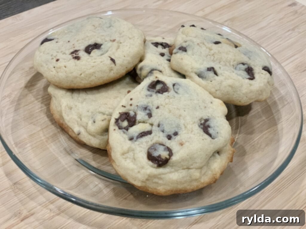 Ready-to-freeze cookie ice cream sandwiches
