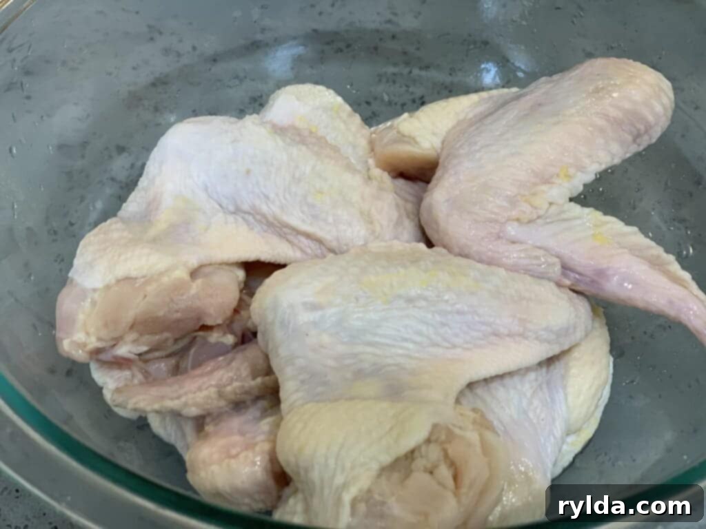 Chicken wings seasoned with dry rub
