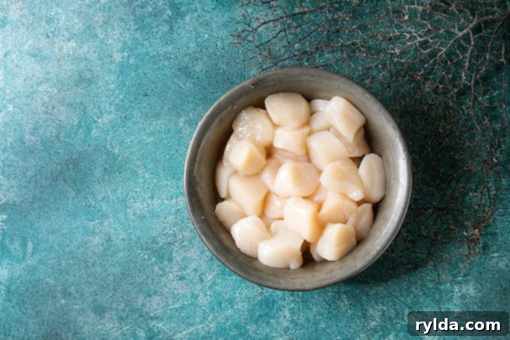 Crispy Panko Scallops 2 Fresh, raw uncooked sea scallops ready for preparation.