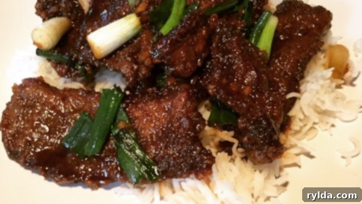 Mongolian Beef and Spring Onions - A delicious homemade stir-fry