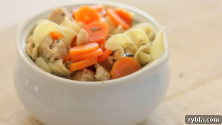 Quick and Easy Chicken Noodle Soup