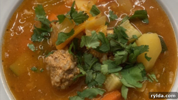 Old-Fashioned Meatball Soup