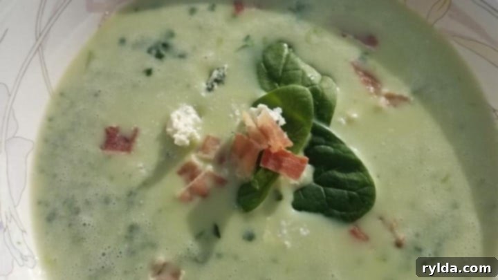 Spinach and Blue Cheese Soup