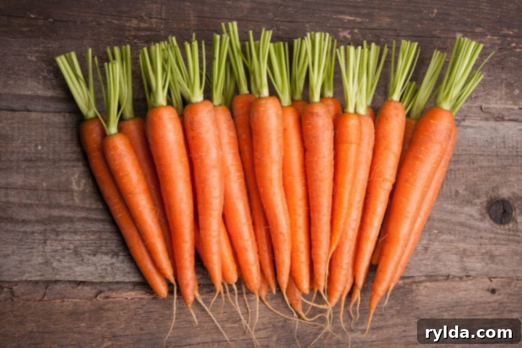 Fresh, vibrant carrots tied in a bunch, ready to be prepared and roasted alongside a delicious chicken, enhancing any family meal with natural sweetness and essential nutrients.