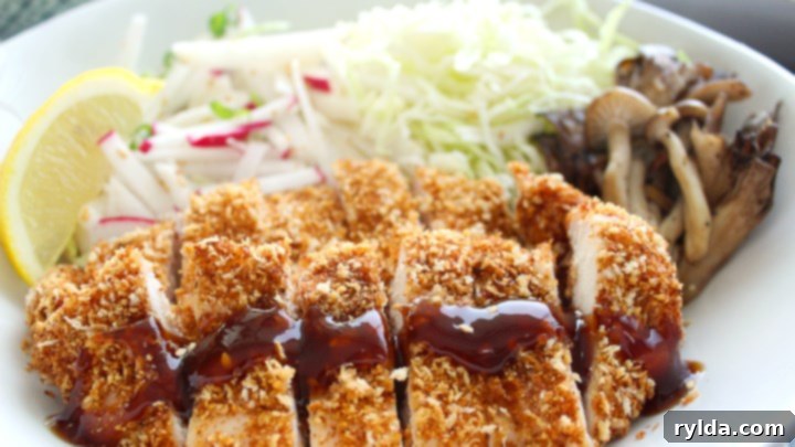 Golden Fried Chicken Cutlets 2 Crispy Golden Chicken Katsu served with rice