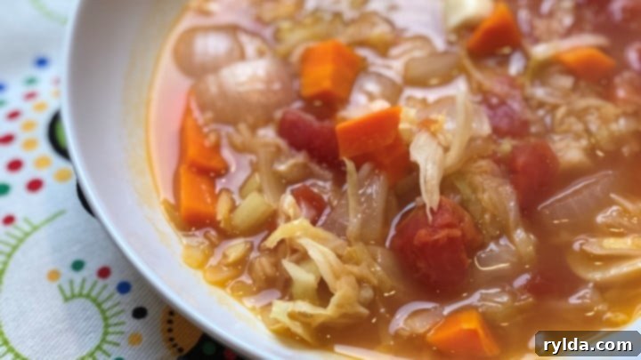 Fast and Easy Instant Pot Vegan Cabbage Detox Soup