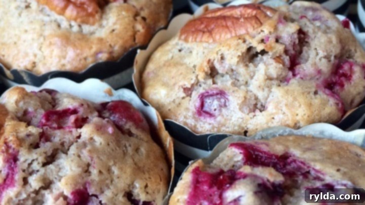 Autumn Muffins