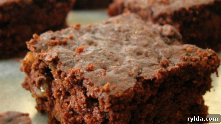 Bob's Deliciously Moist Zucchini Brownies 2 Bob's Moist Zucchini Brownies