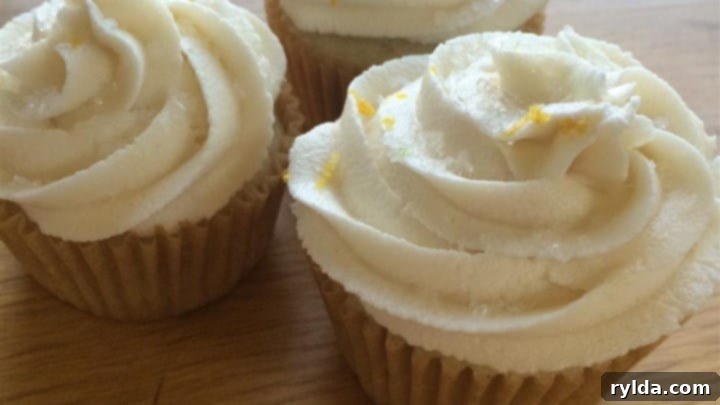 Delicious Vegan Cupcakes topped with frosting