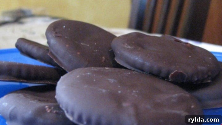 Minty Crisp Thins 2 Homemade Thin Mint Crackers - a delicious chocolate and mint treat