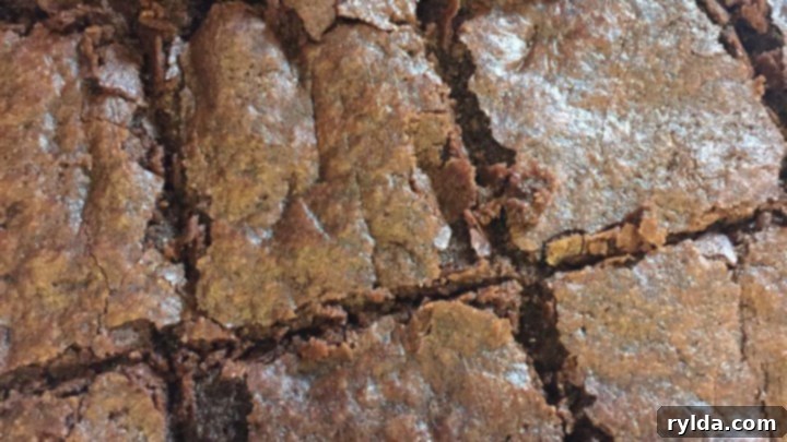 Fudgy Chewy Brownies 2 Chewiest Brownies