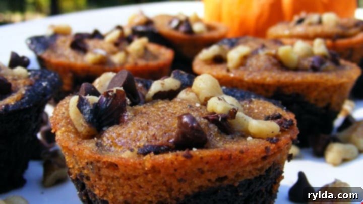 Pumpkin Brownies