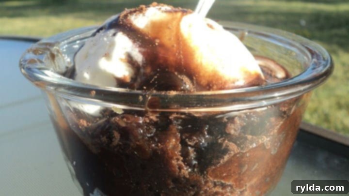Your Favorite Brownie Pudding